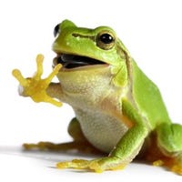 happylilfrog