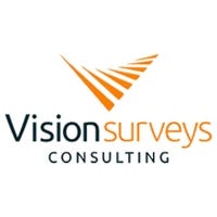 visionsurveysconsulting