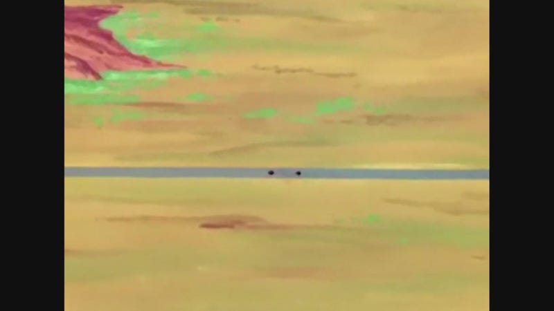 How Wile E Coyote Explains The World