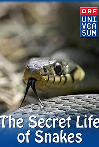 The Secret Life of Snakes (2016) - The . Club