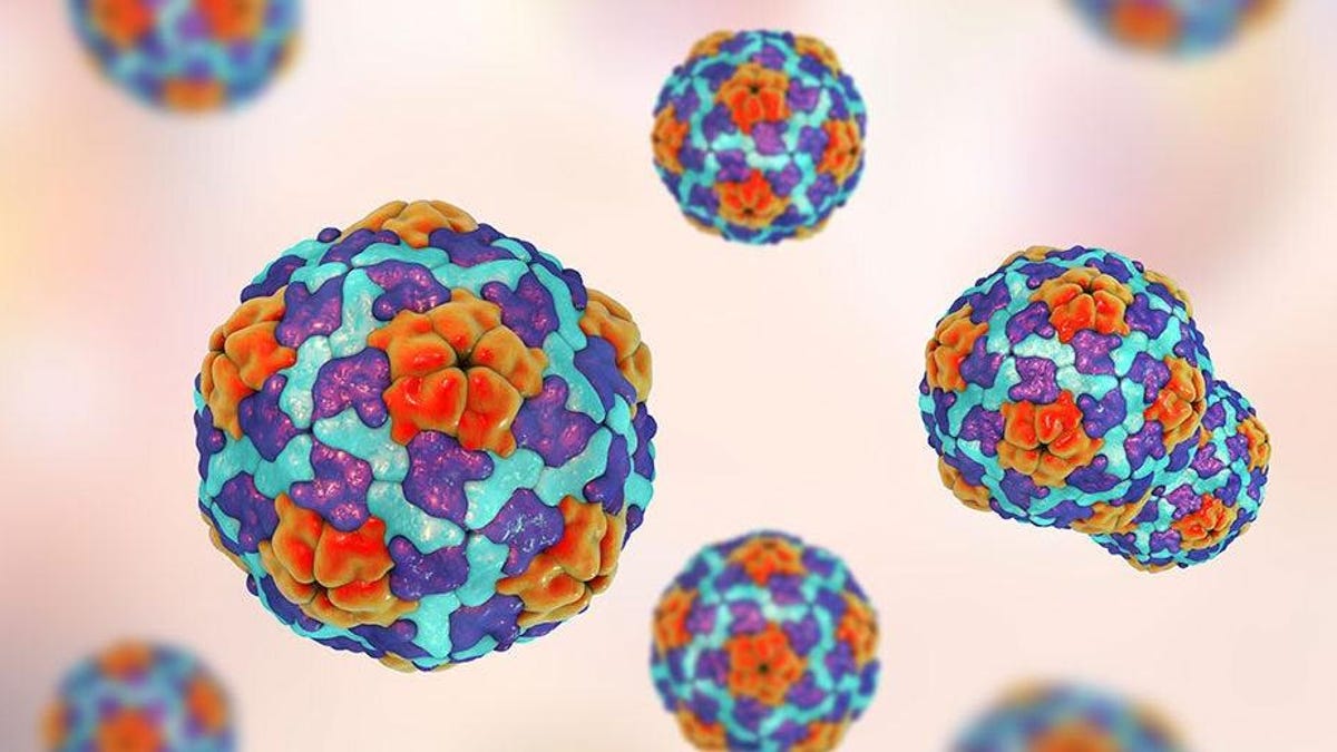 Hepatitis A Outbreak Linked to Virginia Restaurant Chain Sickens 50 People, Kill..