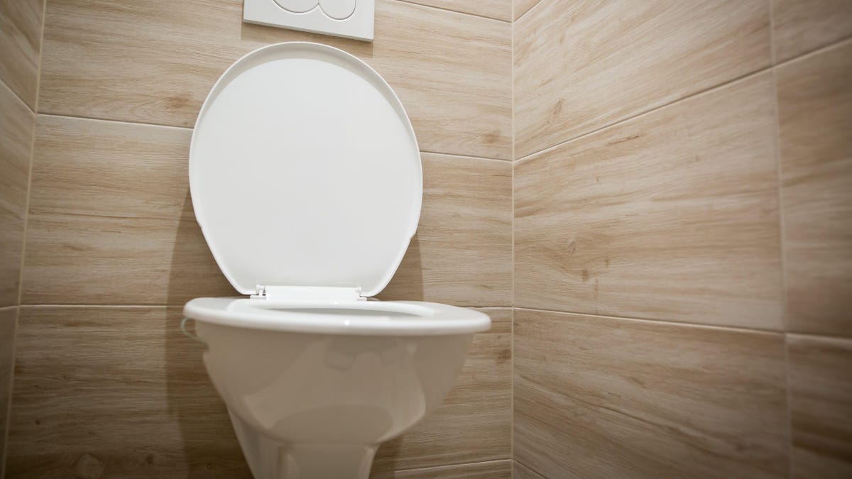 We Should Be Banking Our Poop for Future Use, Scientists Argue