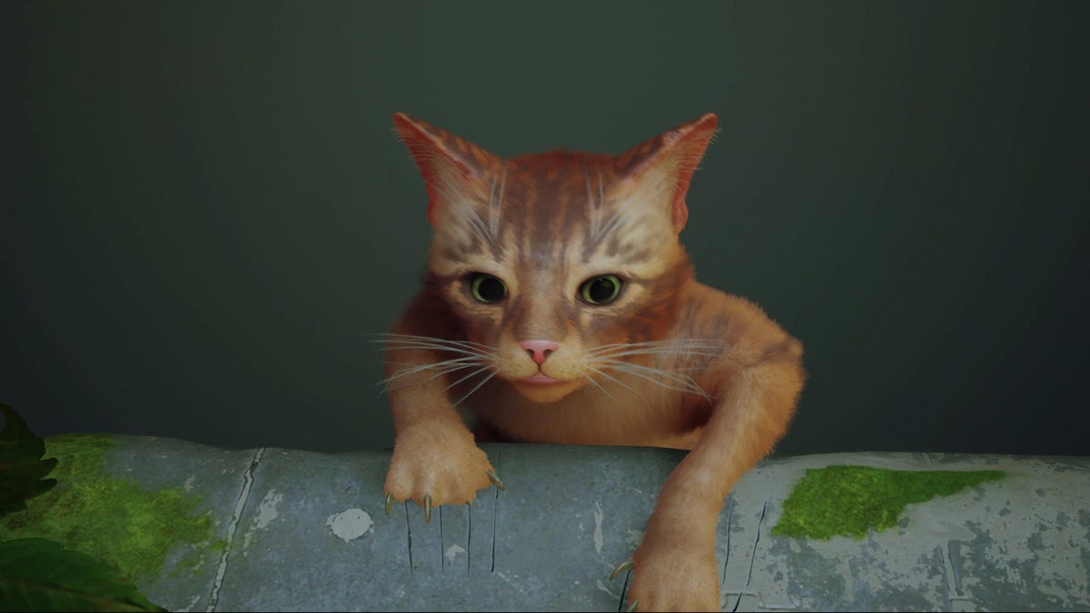 Cat Game Stray ma problemy z wydajnością na Unreal Engine 4 na PC