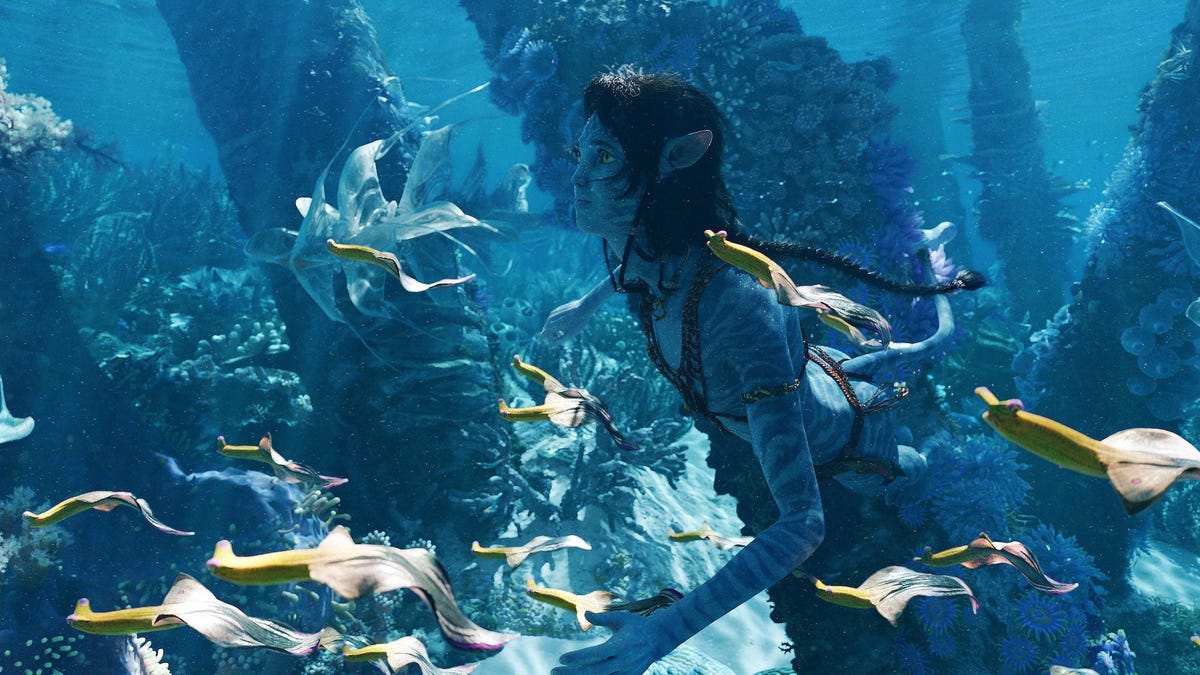 Avatar: The Way of Water Is Now the Highest-Grossing Movie of 2022