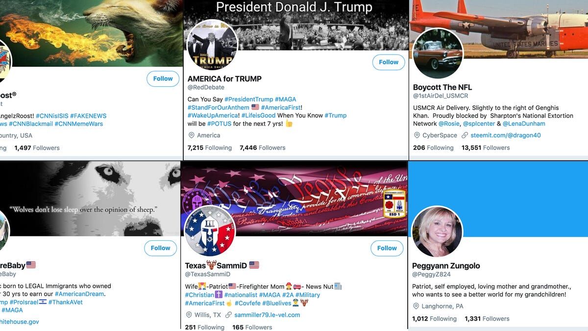 This new Twitter account hunts for bots that push political opinions