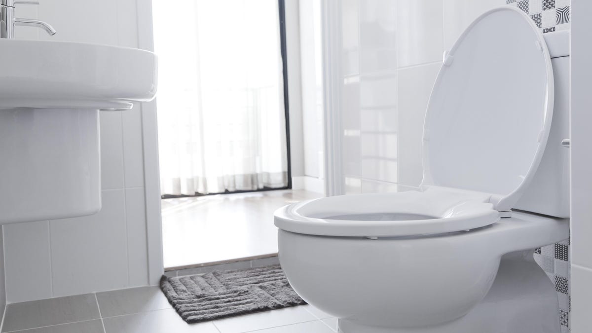 Kohler's voice-controlled bidet seat turns your dumb toilet into a  luxurious smart-throne