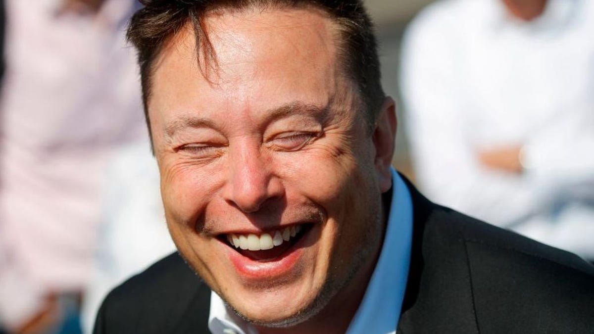 Elon Musk's Twitter In Deep Trouble - cover