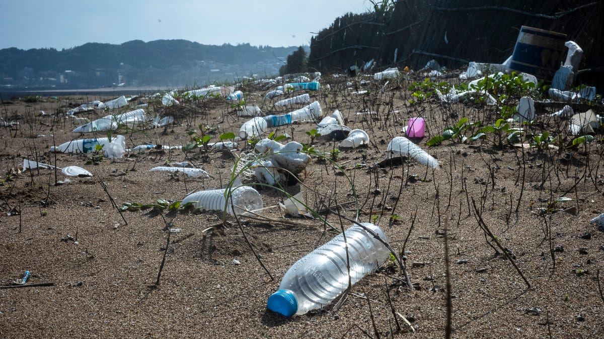 لا يتحلل البلاستيك القابل للتحلل في المحيط