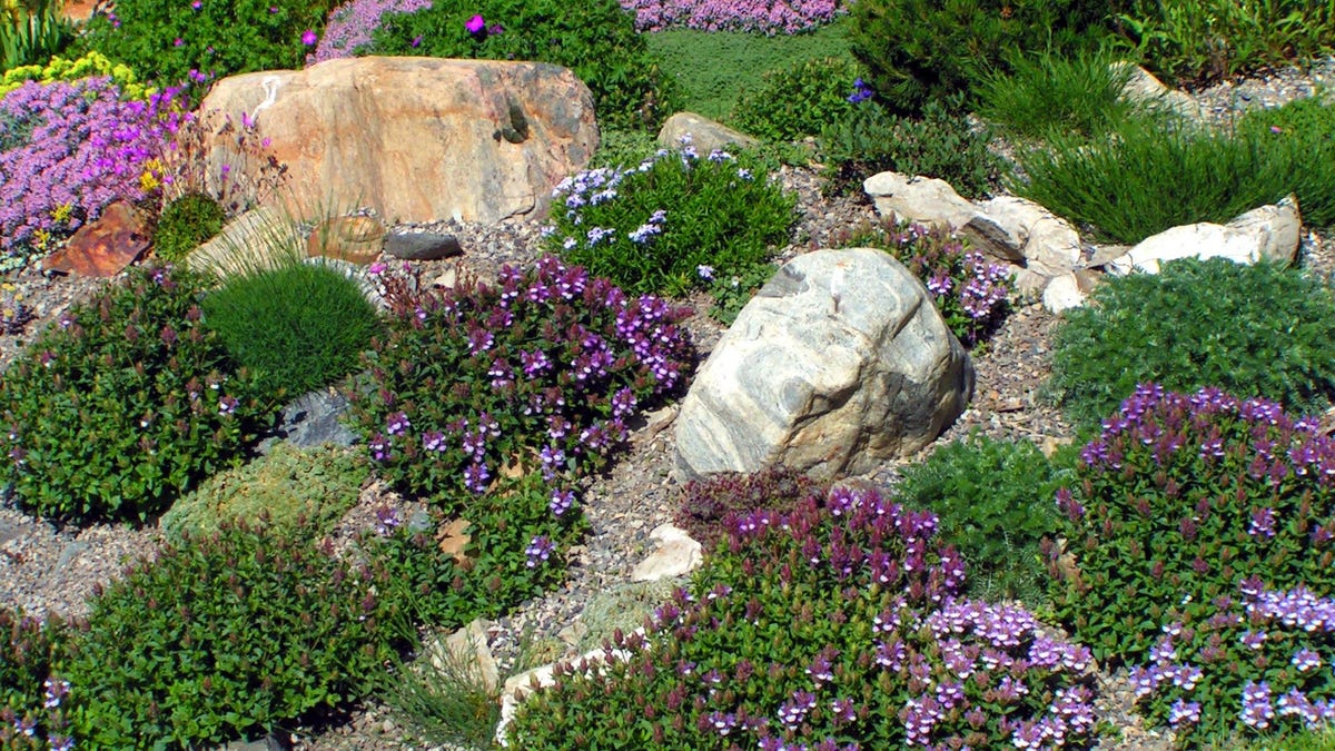 how to make a rock garden to save yourself from so much yard work