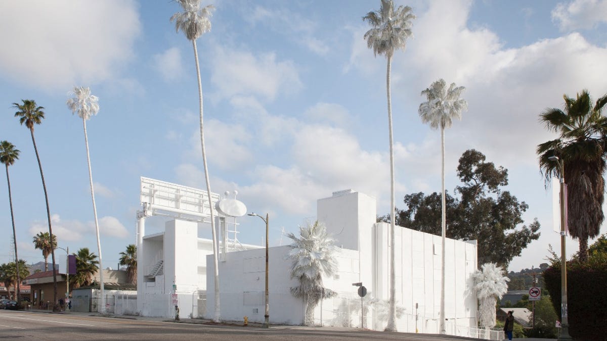 Why An Artist Totally Whitewashed This La Motel Palm Trees And All