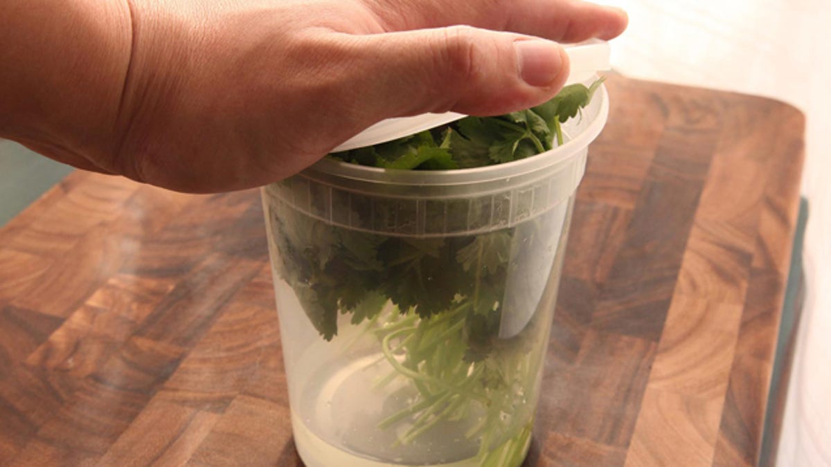 Store Cilantro Upright In The Fridge With Water To Make It Last Months