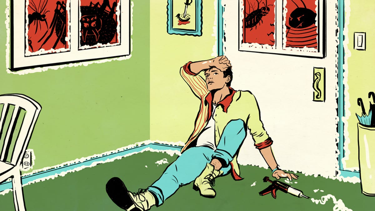 Bug Proof Your Home Like A Pro