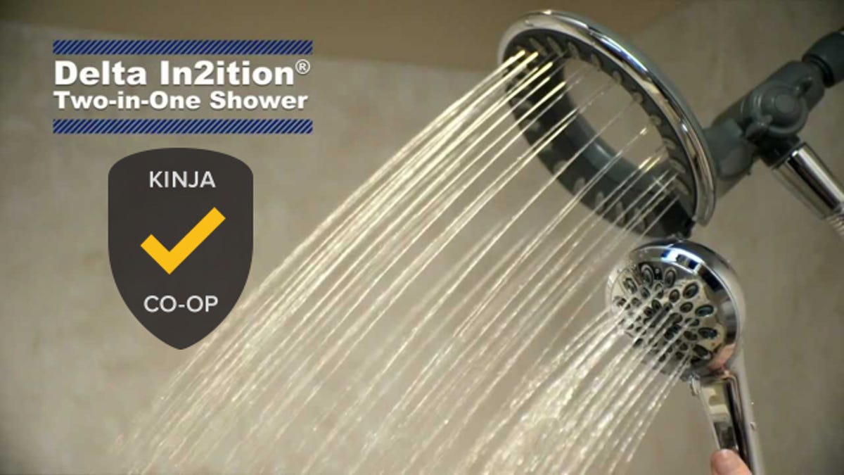 Most Popular Shower Head Delta In2ition Plus Alternatives