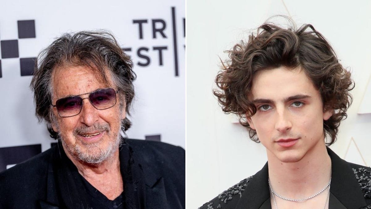 Al Pacino thinks Timothée Chalamet should play his character in Heat 2 - The A.V. Club