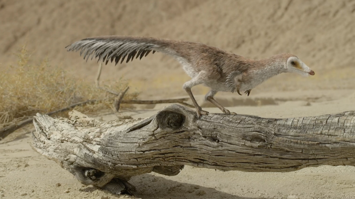Los dinosaurios recorren el ‘planeta prehistórico’ en un clip del programa de Apple TV+