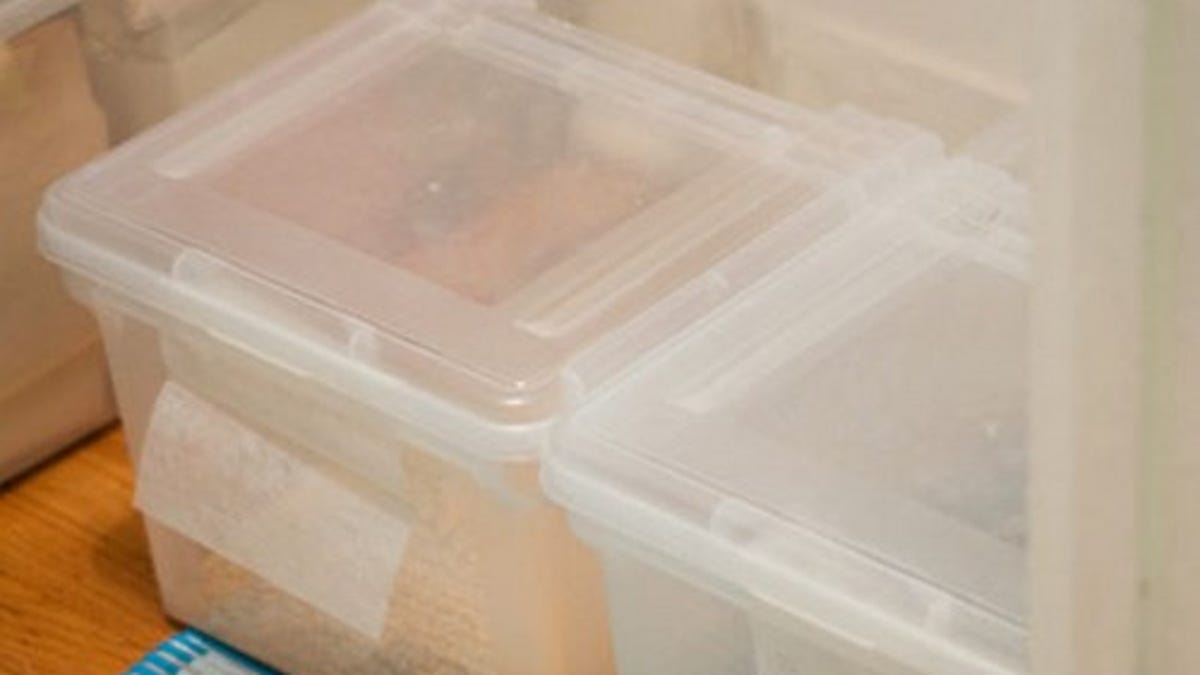 Repurpose A Storage Bin As A Mess Free Litter Box