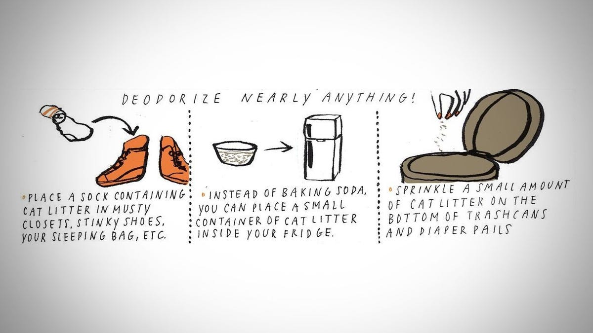 Deodorize Practically Anything With Kitty Litter