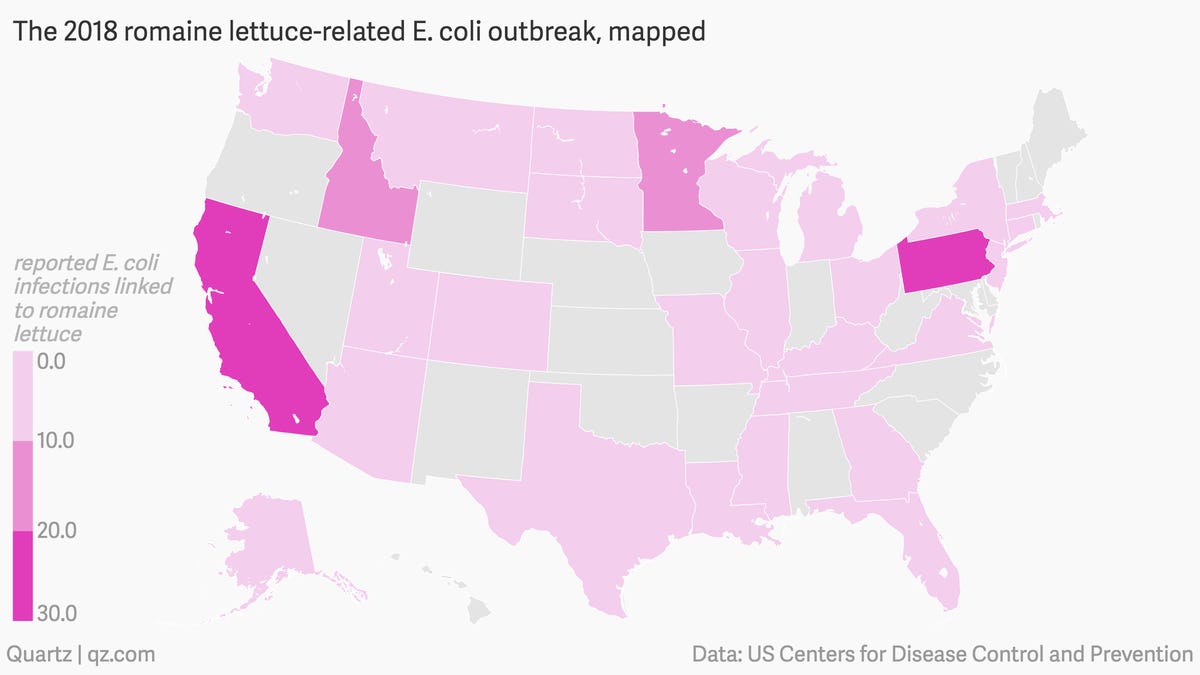 E. coli outbreak Contaminated lettuce has reached 29 states