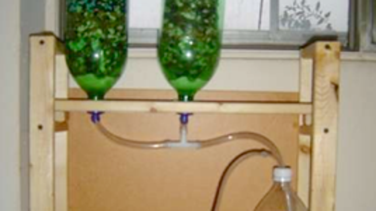 Diy Hydroponics On The Cheap