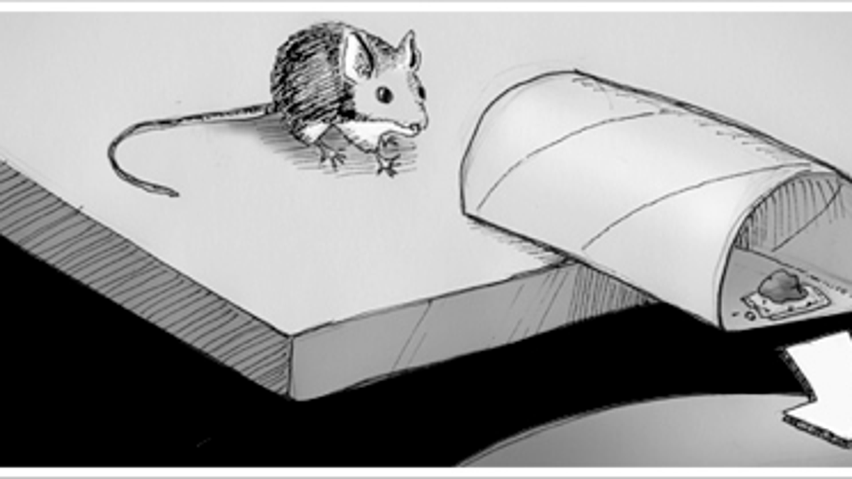 ЛОВУШКА для мышей из бумаги