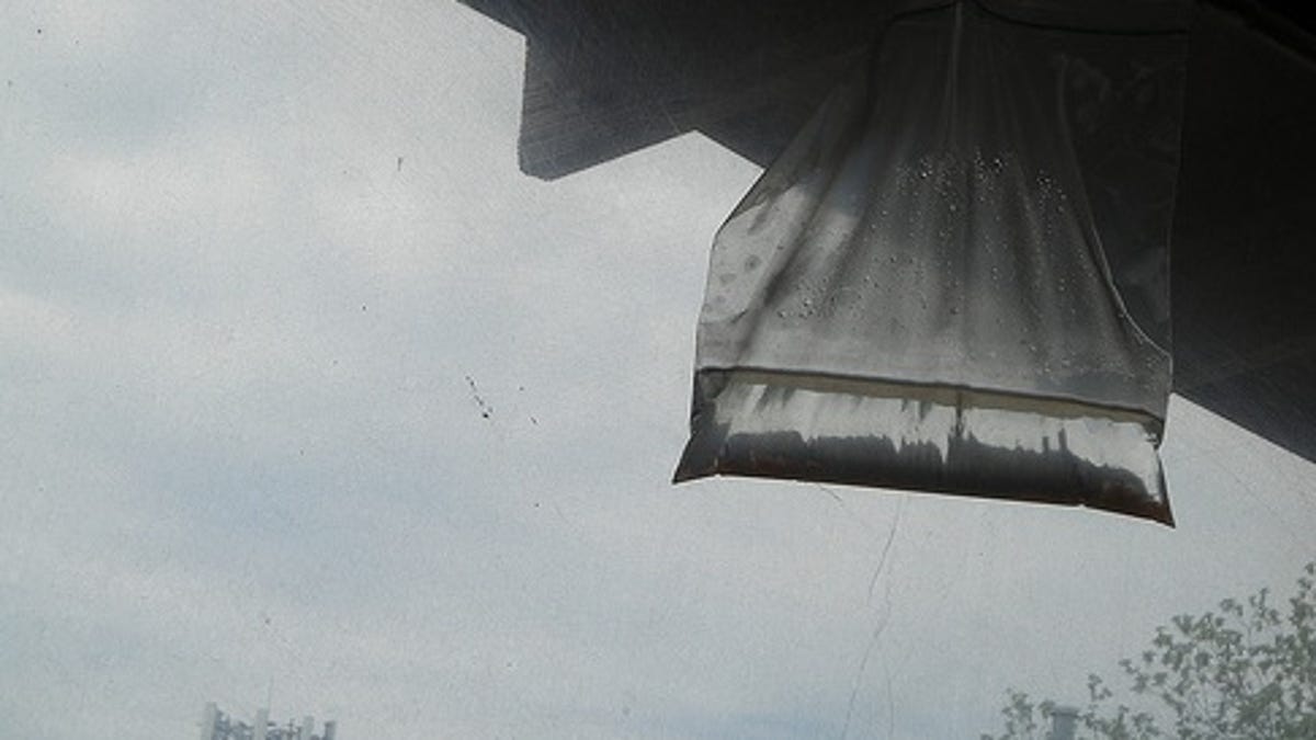 Repel Flies With A Bag Of Water