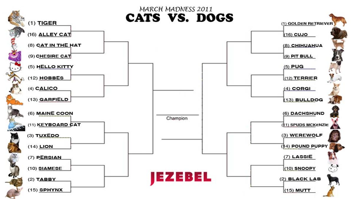 Cats Vs Dogs Tournament Polls Open Now