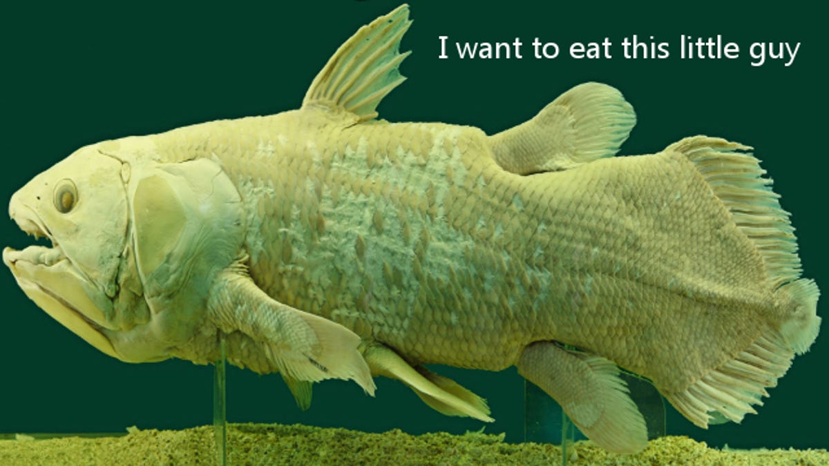 What Is It Like To Dine On A Prehistoric Beast