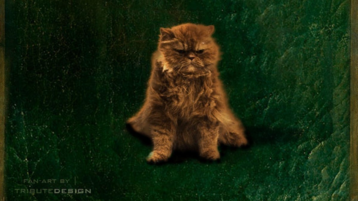 The Hunger Games Author Insisted The Cat Be Recast In Catching Fire