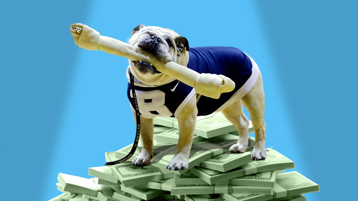 Study Live Animal Mascots Are Worth Millions To College