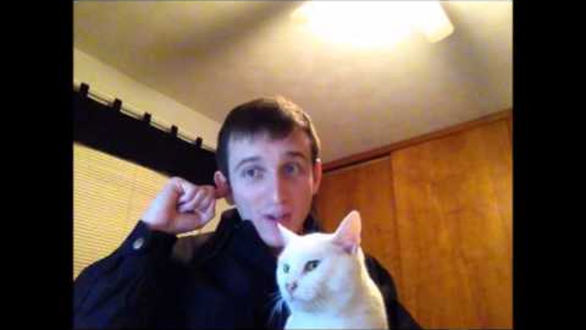 Befriend A Cat With Your Earwax