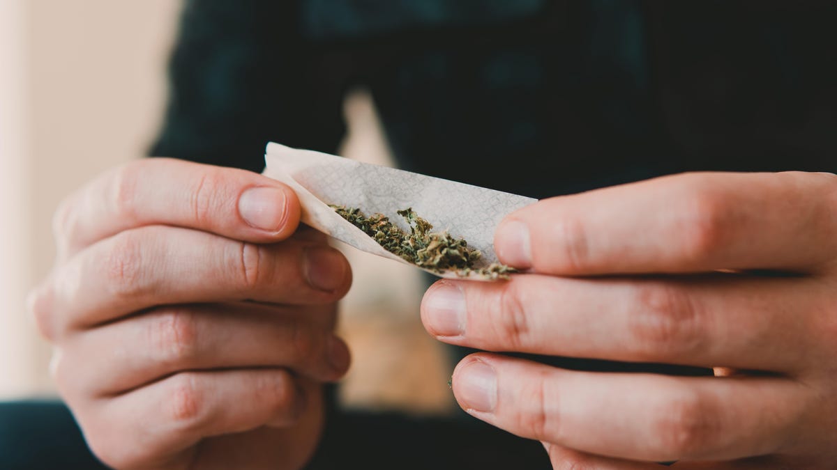 The Differences Between Joints, Blunts, and Spliffs