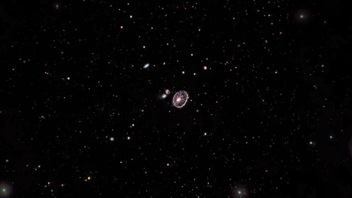 Tienes que hacer zoom durante un minuto para poder ver la galaxia en este video del telescopio Webb