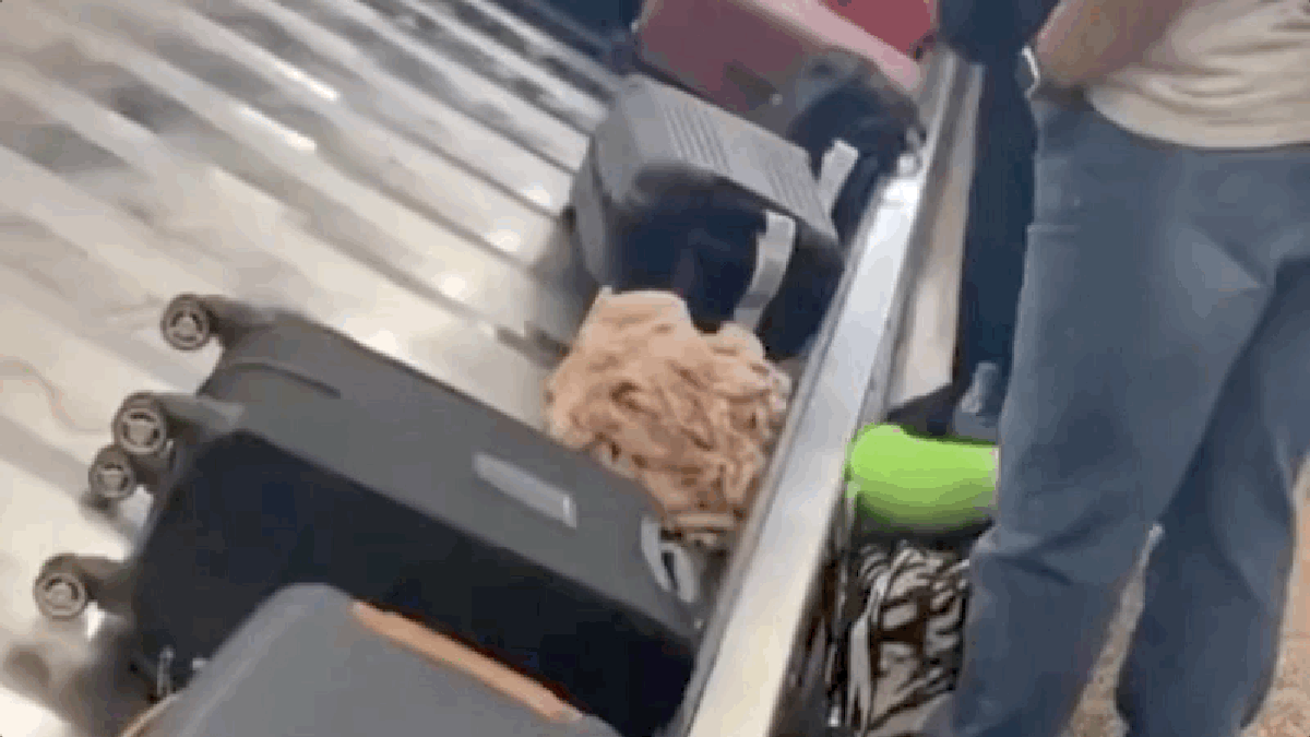 Ein Block rohes Huhn fuhr auf dem Gepäckband eines Flughafens herum€