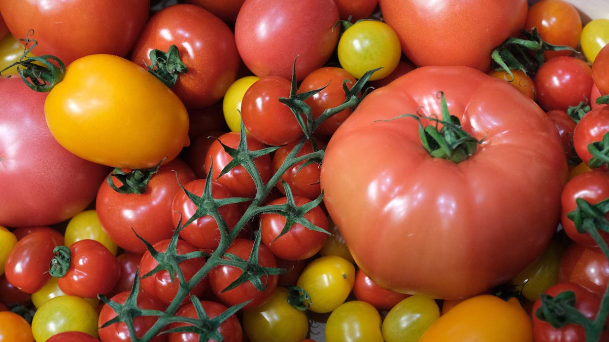 Scientists CRISPR'd Tomatoes to Make Them Full of Vitamin D