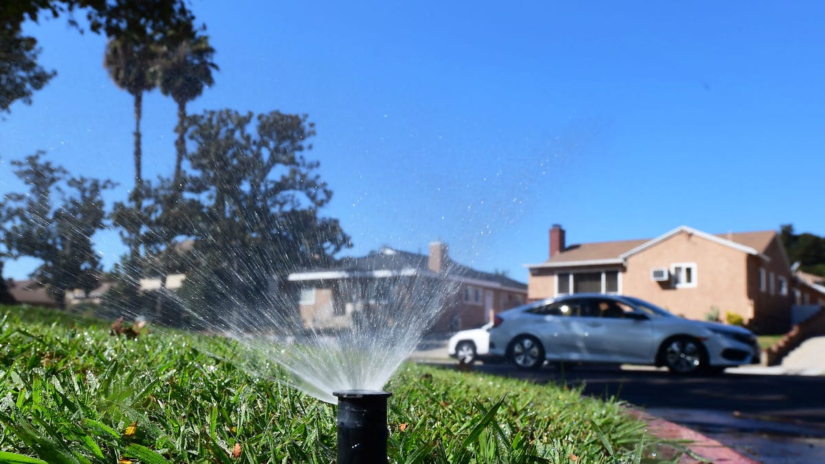 Lawns to Go Dry: Historic Water Restrictions Come to Los Angeles
