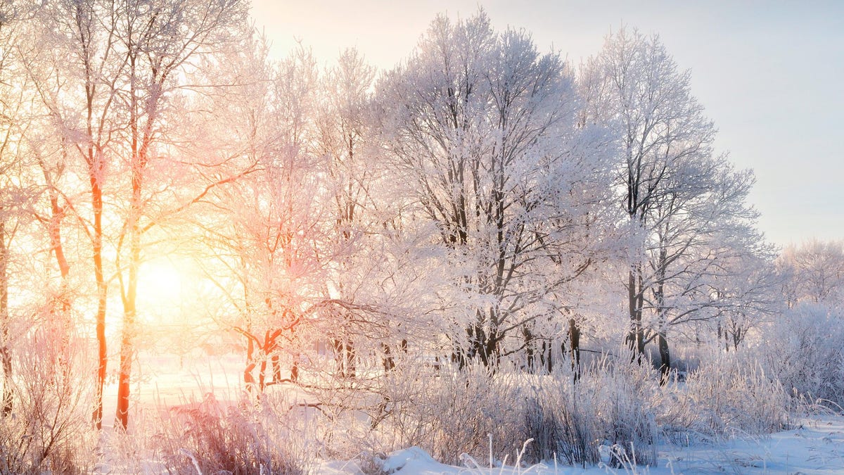 How to Take Winter Photos That Aren't White and Blurry (Unless That's the Point)