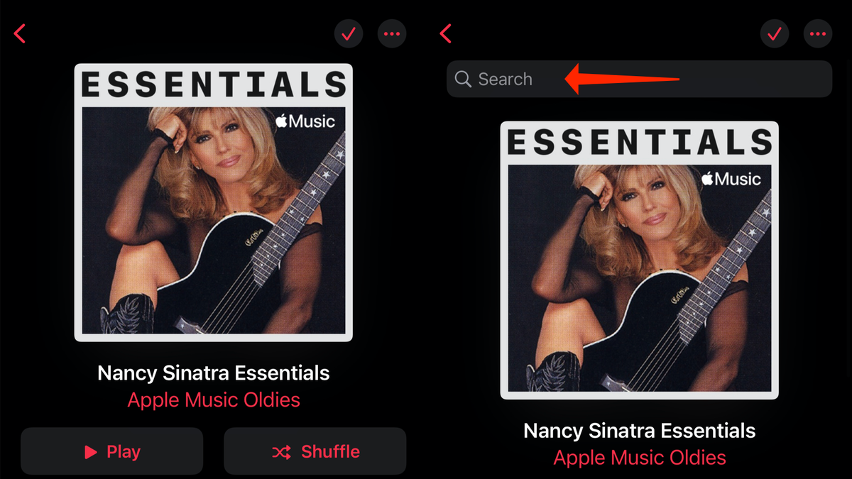 You Can Finally Search Within a Playlist in Apple Music thumbnail