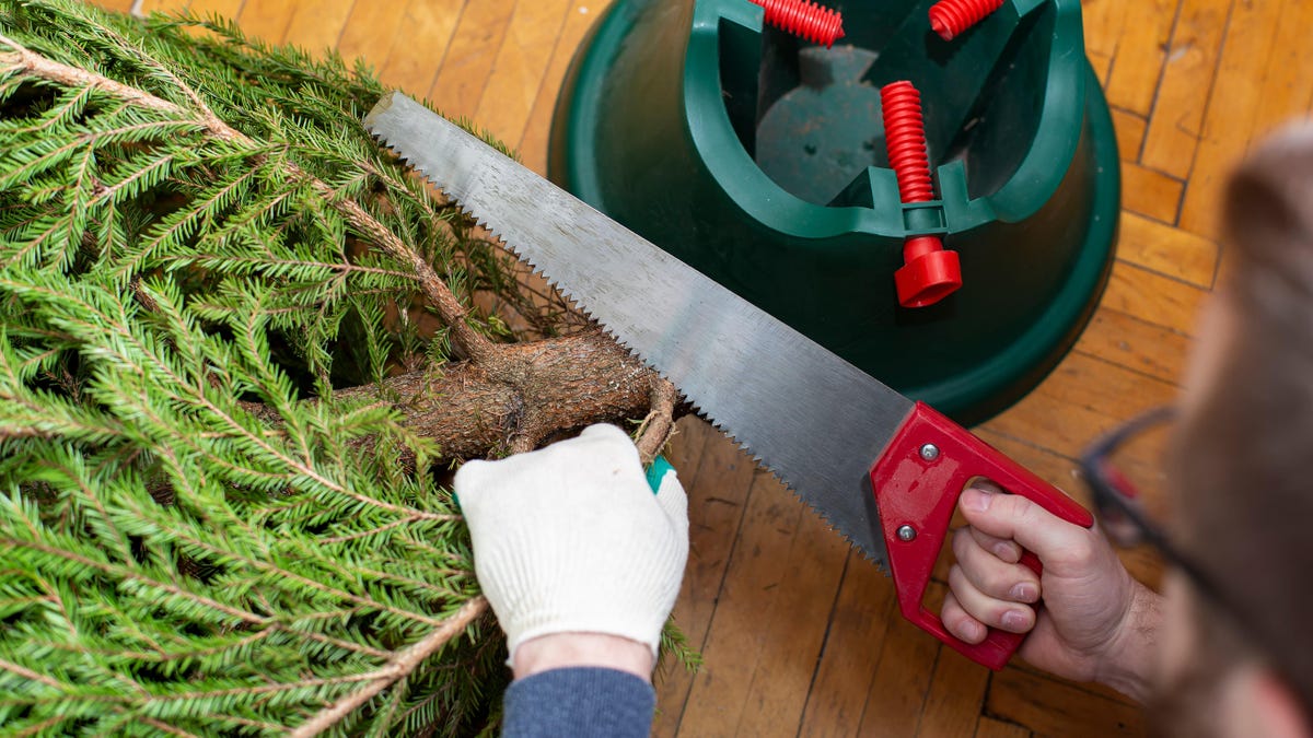 Stop using these “hacks” that will dry out your Christmas tree