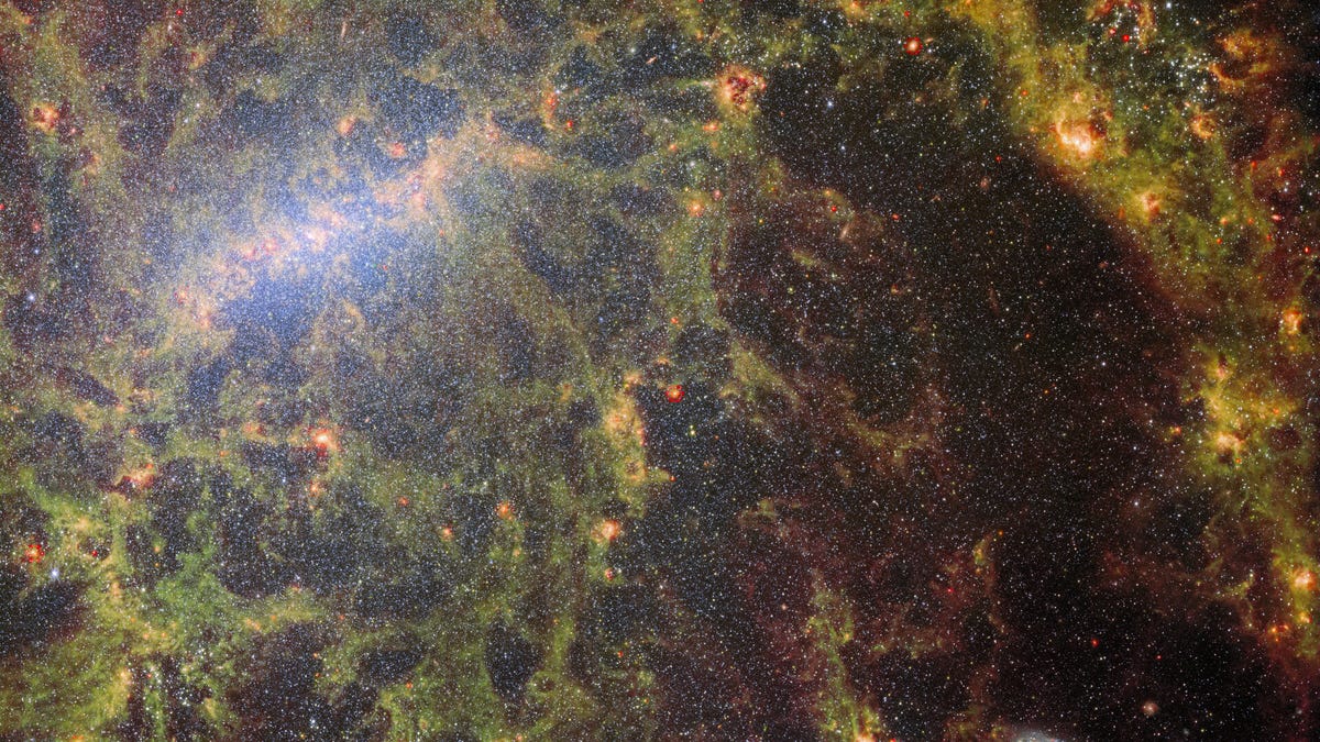 photo of Webb Takes Portrait of Star-Studded Barred Galaxy image