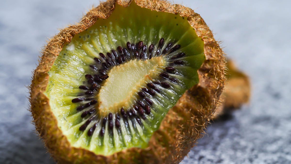 Let Them Fight: Feud Breaks Out Between 8kun and Kiwi Farms Founders