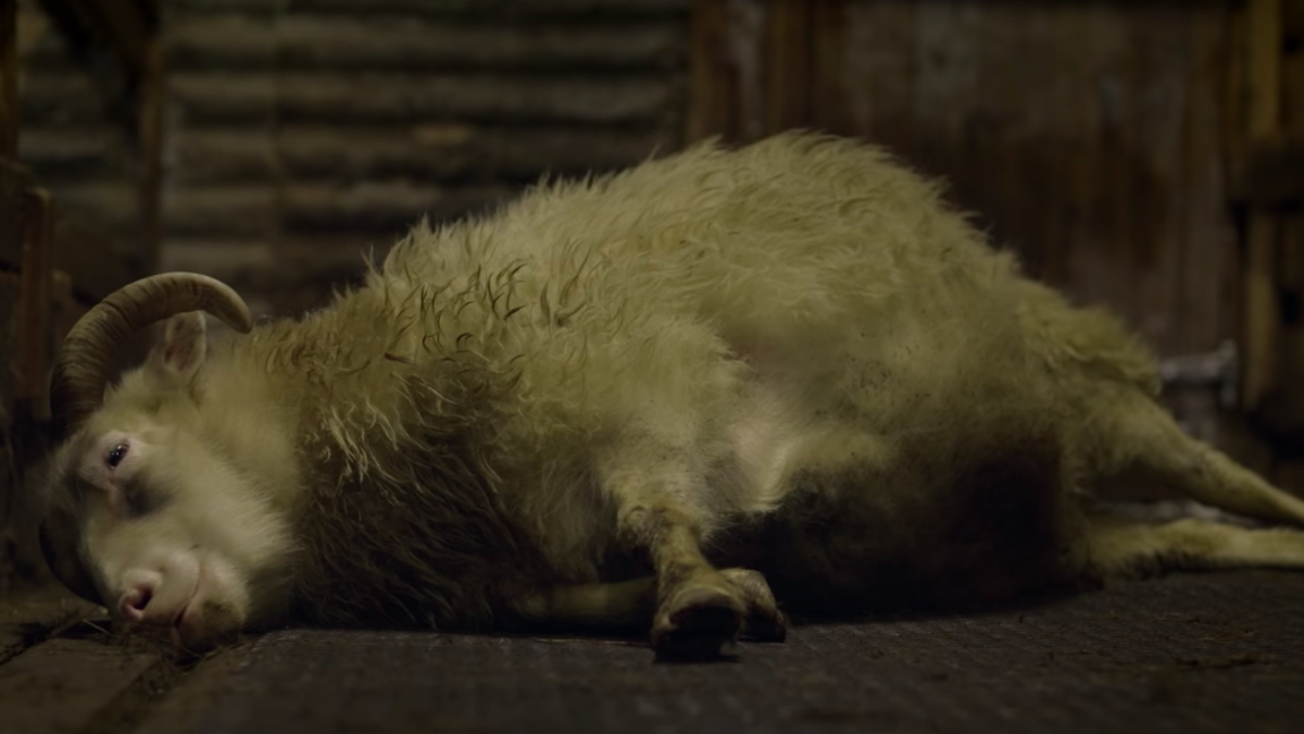 a24-s-deeply-unsettling-lamb-will-stream-for-one-night-only
