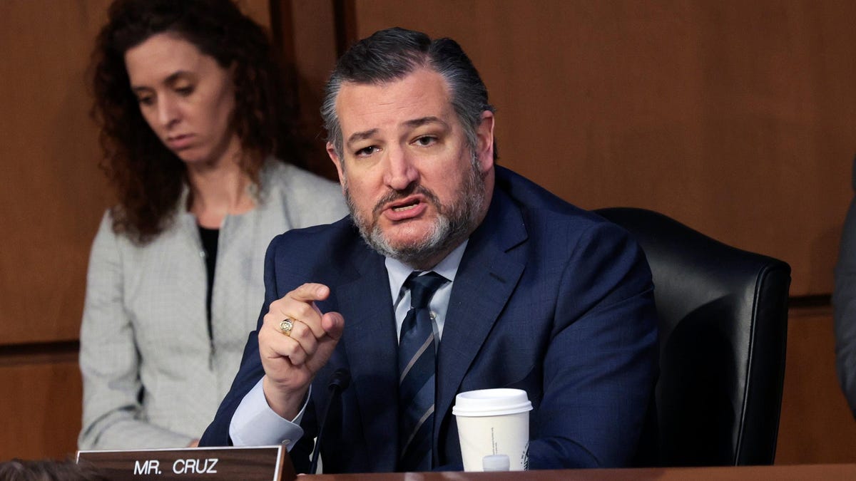 Ted Cruz Rails at Montana Airport Employees: 'Do You Know Who ...