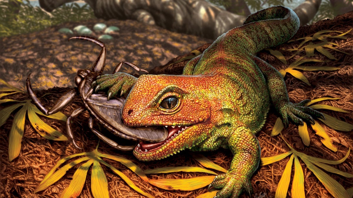 この古代の爬虫類はトカゲではありません。 トカゲと呼ばないで
