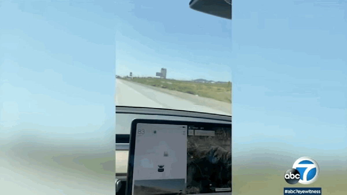 Tesla-Bildschirm friert bei 83 MPH auf der Autobahn ein: Bericht