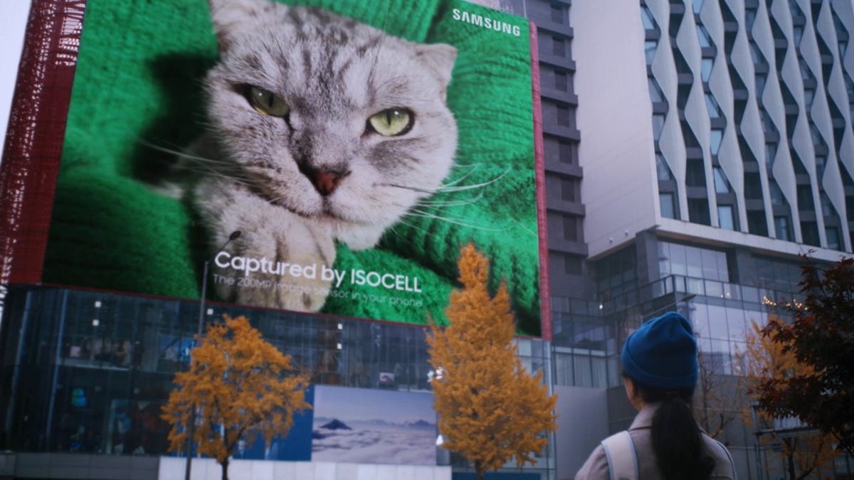 El Galaxy S23 de Samsung podría tomar fotos de 200MP, como esta foto de un gato