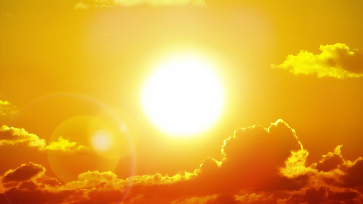 Five Things You Should Do Now to Prepare for a Heatwave