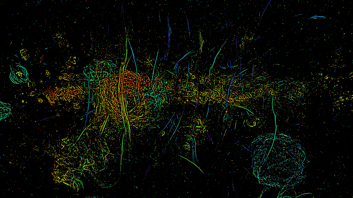 Astrophysicists Found 1000 Magnetic Milky Way ‘Strands’ – Gizmodo