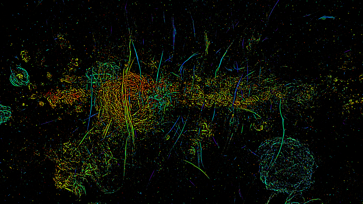 Los astrofísicos encontraron 1.000 ‘hebras’ magnéticas de la Vía Láctea