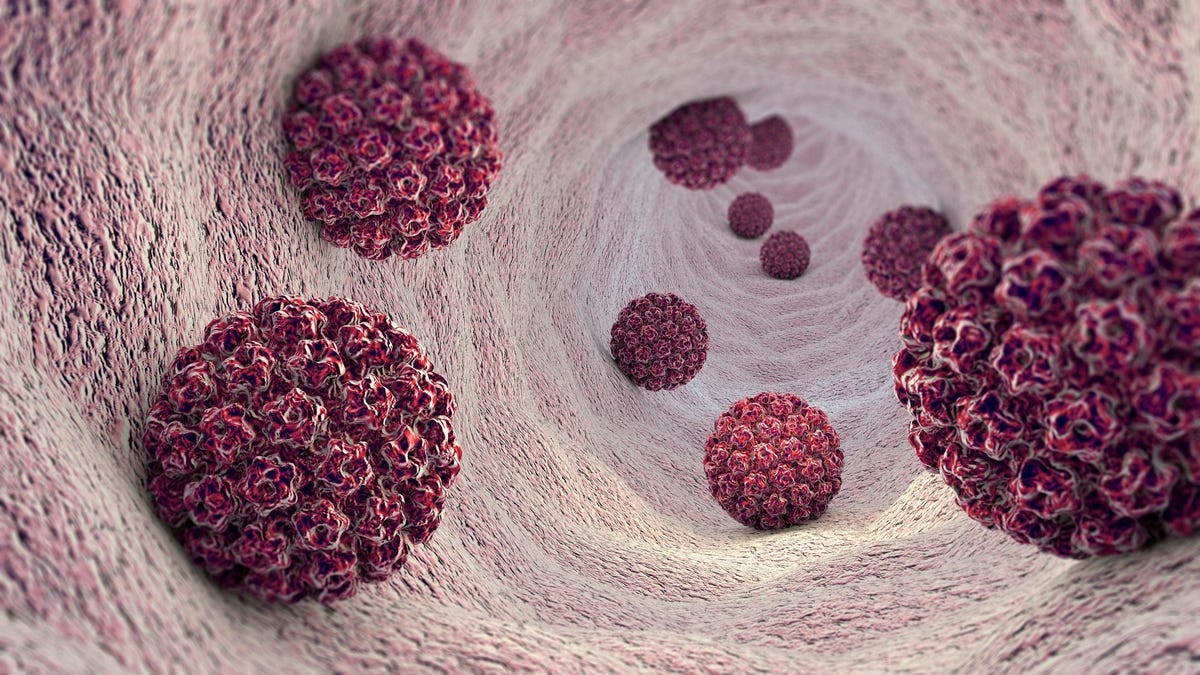 研究发现三分之一的男性感染HPV