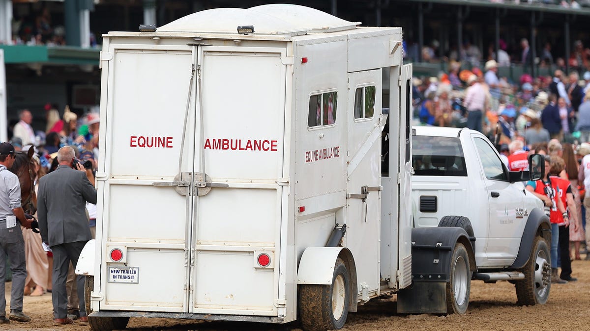 You are currently viewing Kentucky Derby and related races leads to death of seven horses